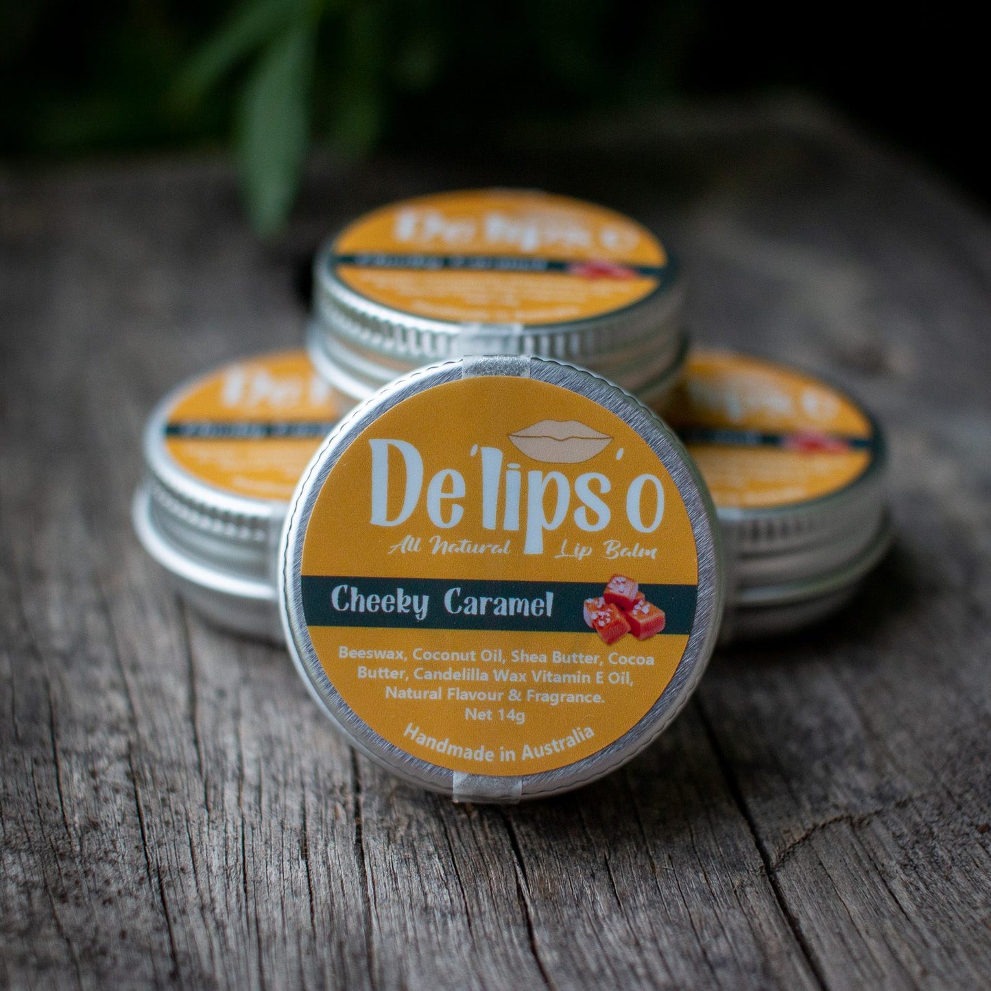 6 Pack Delipso all natural Lip Balm 14g Tins Delipso