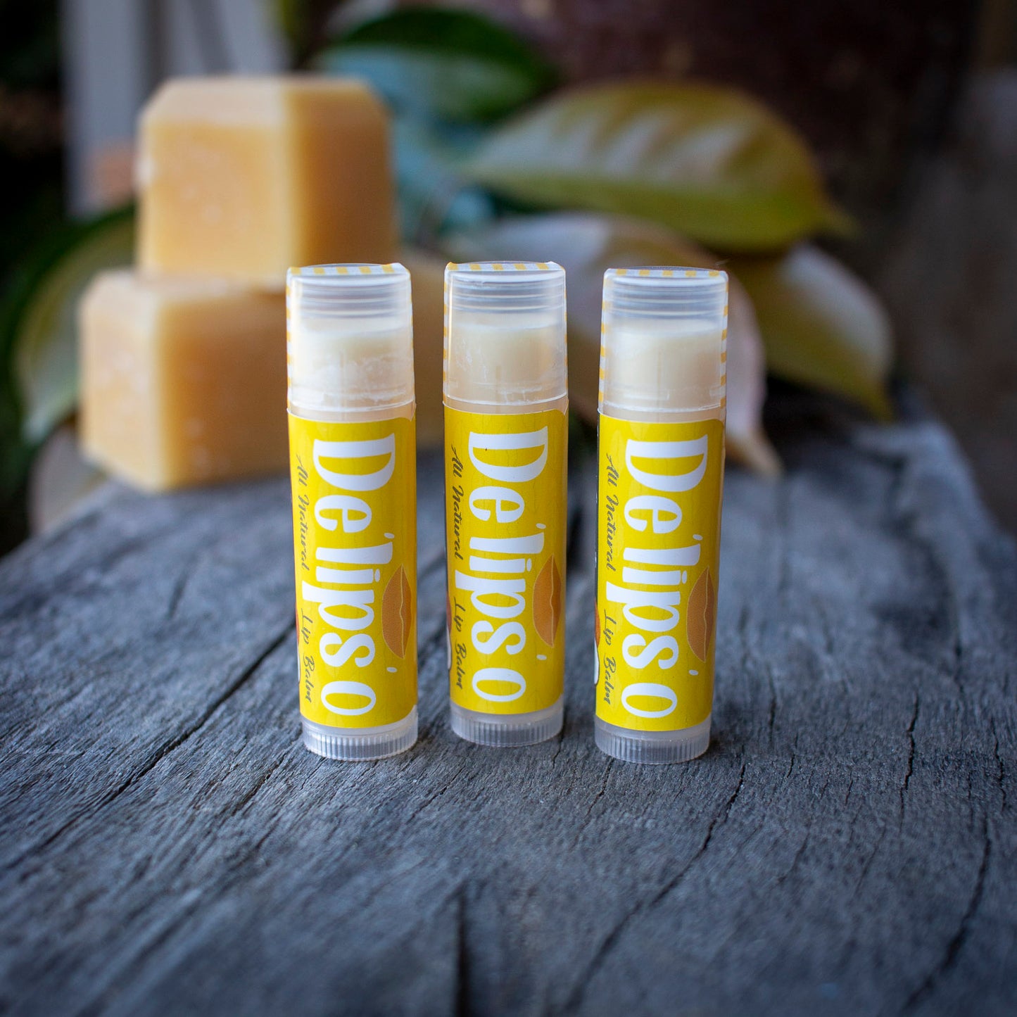 Crazy Coconut all natural Lip Balm 5g Tube Delipso