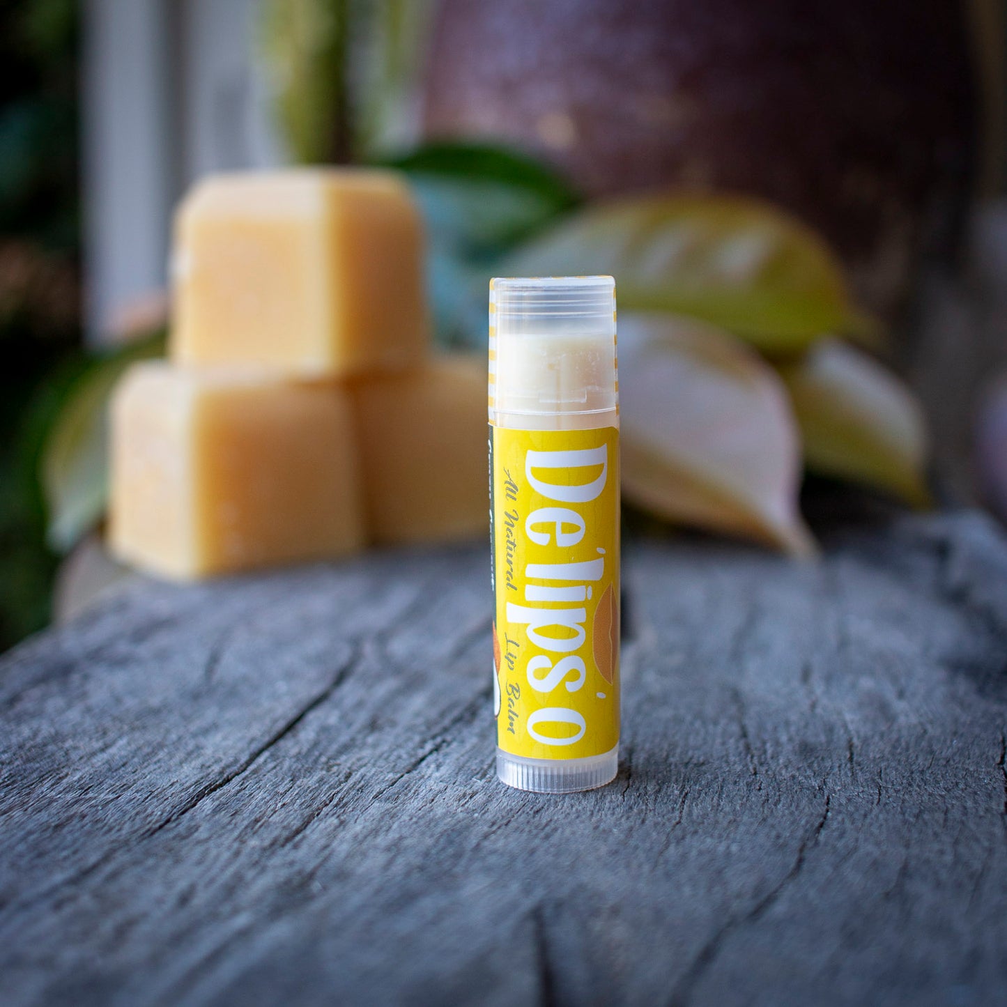 Crazy Coconut all natural Lip Balm 5g Tube Delipso