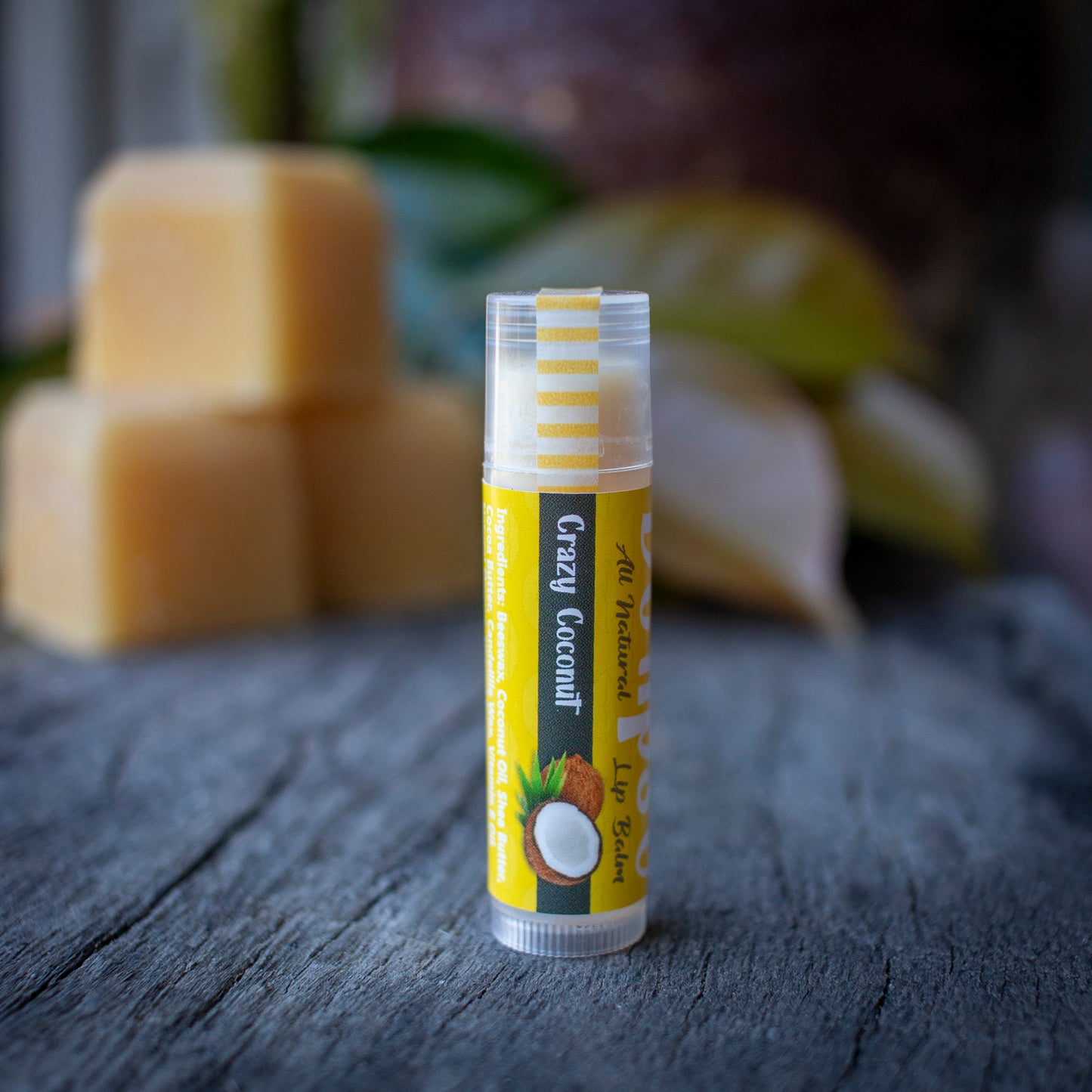 Crazy Coconut all natural Lip Balm 5g Tube Delipso